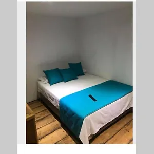 https://blue-parrot-san-antonio.cali-hotels.com